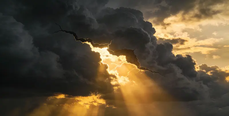 菏泽肺癌12基因ctDNA突变检测(血液）图片1