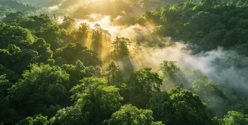 菏泽肺癌（EGFR T790M)突变检测图片1